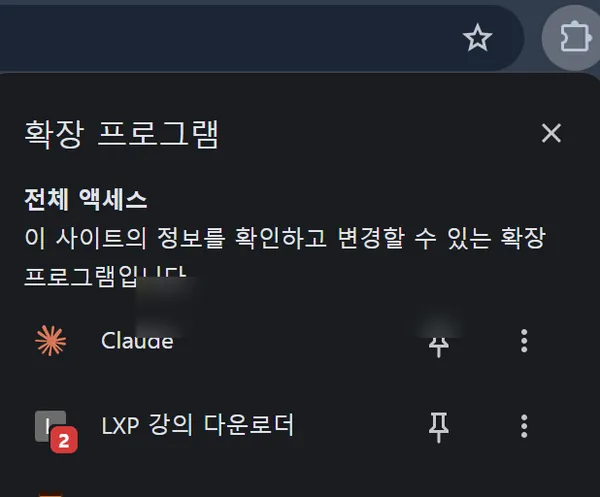 확장 메뉴에서 핀 고정